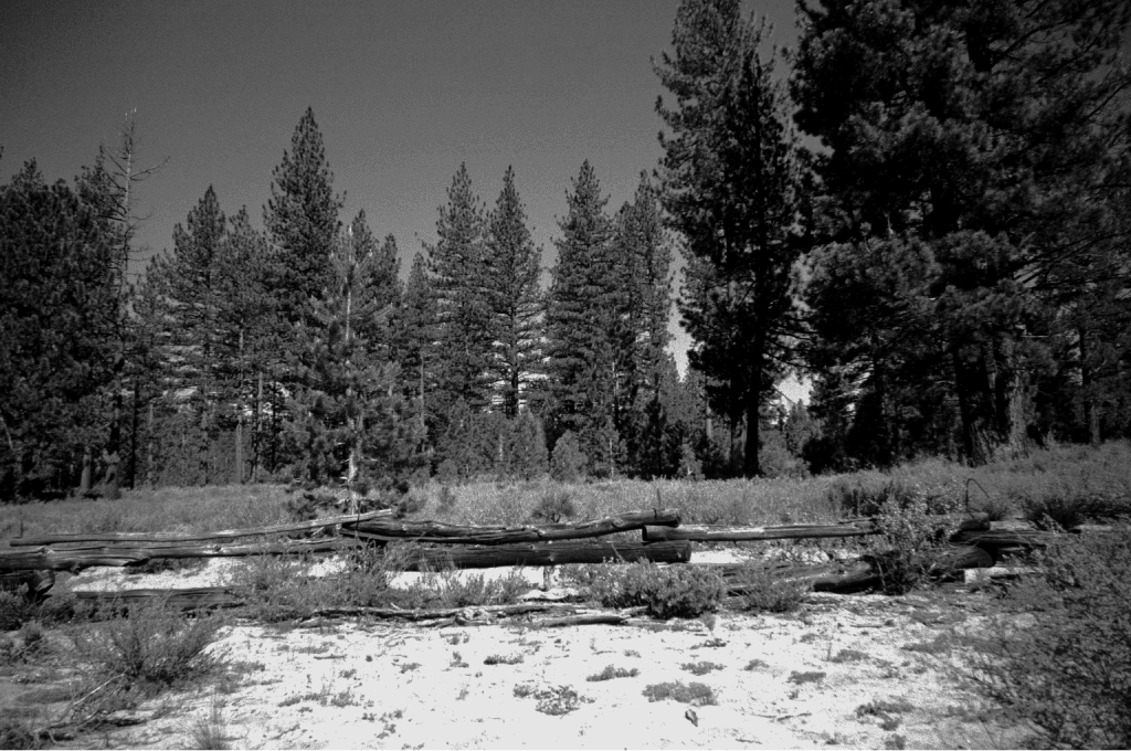 The namesake corral: weathered hand-split rails in a clearing among the sugar pines, Lake Tahoe