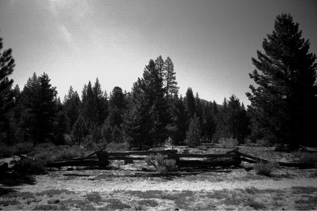 A fallen split-rail corral in the pines outside Lake Tahoe
