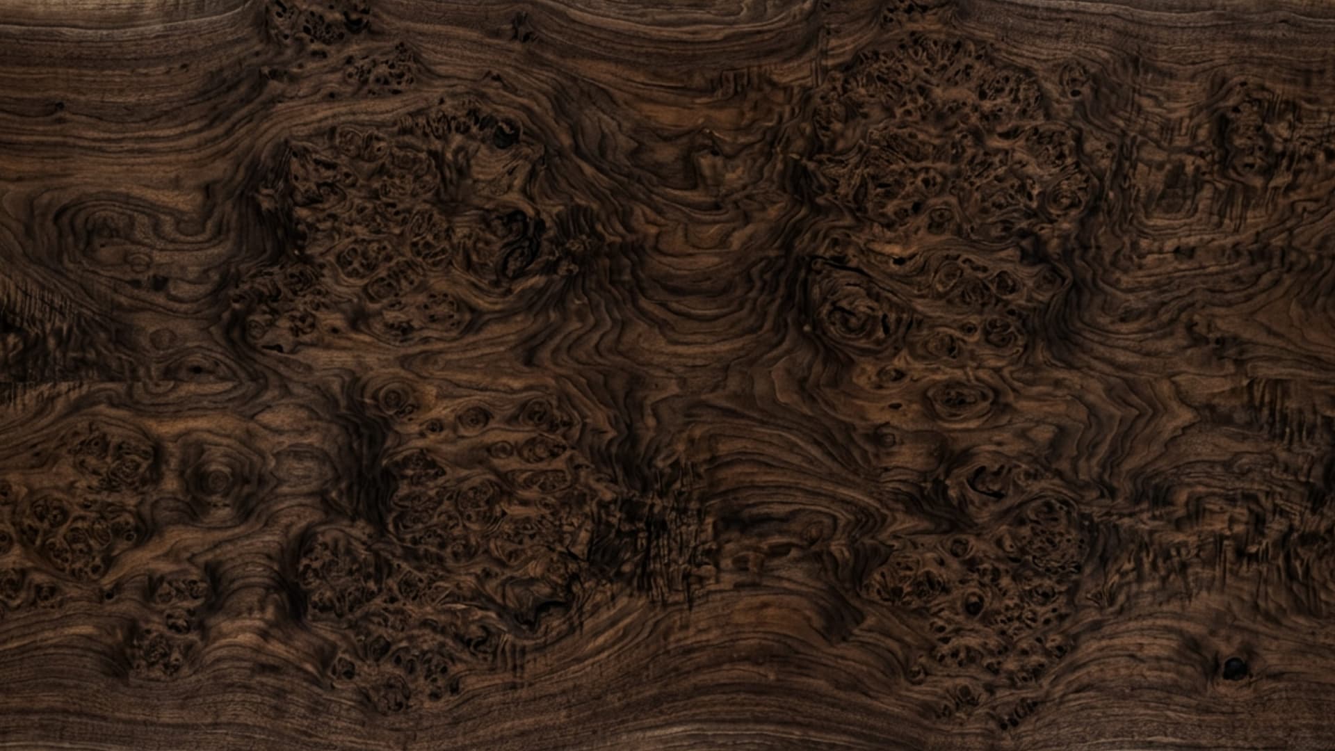 Walnut burl wood grain, close up